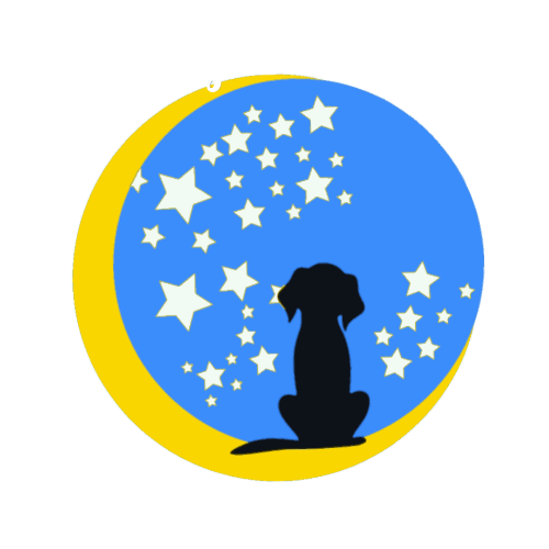 Pawfect Dreams Puppies
