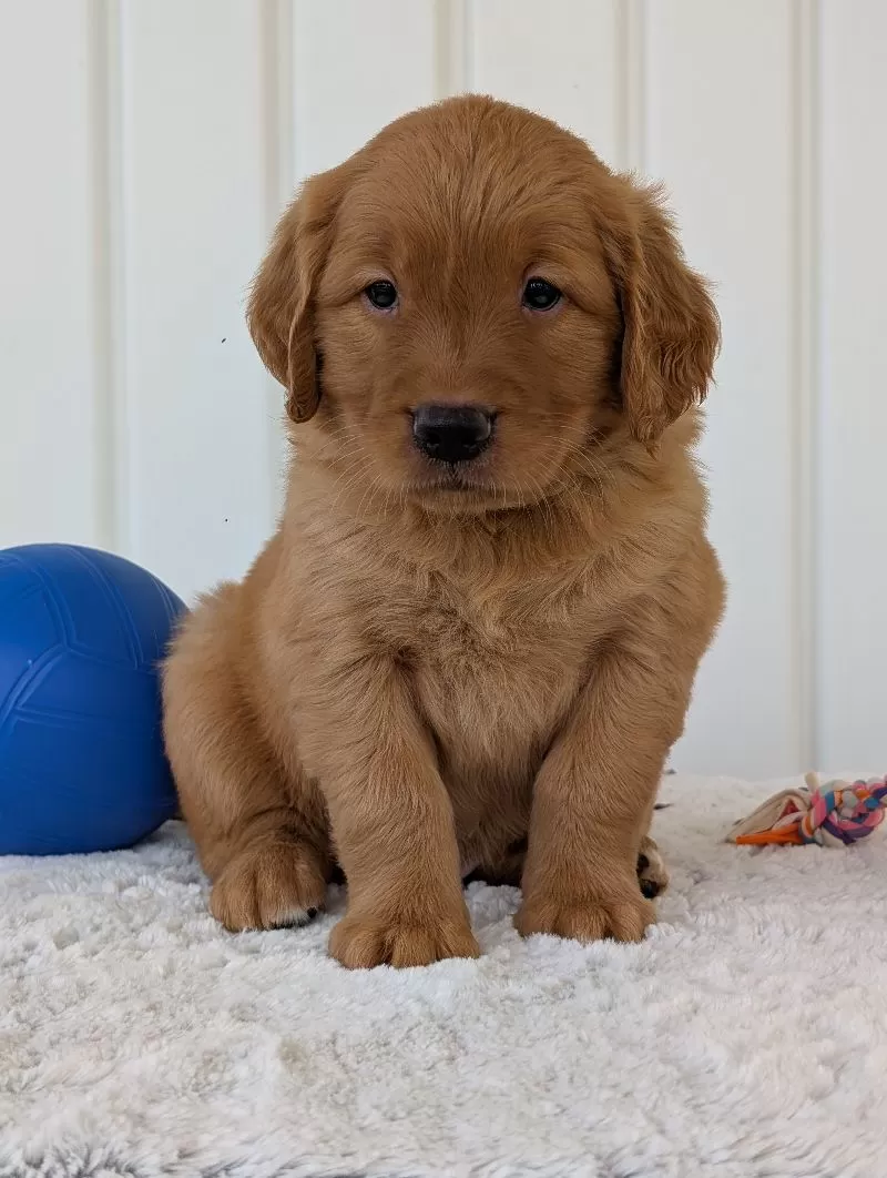 Parker