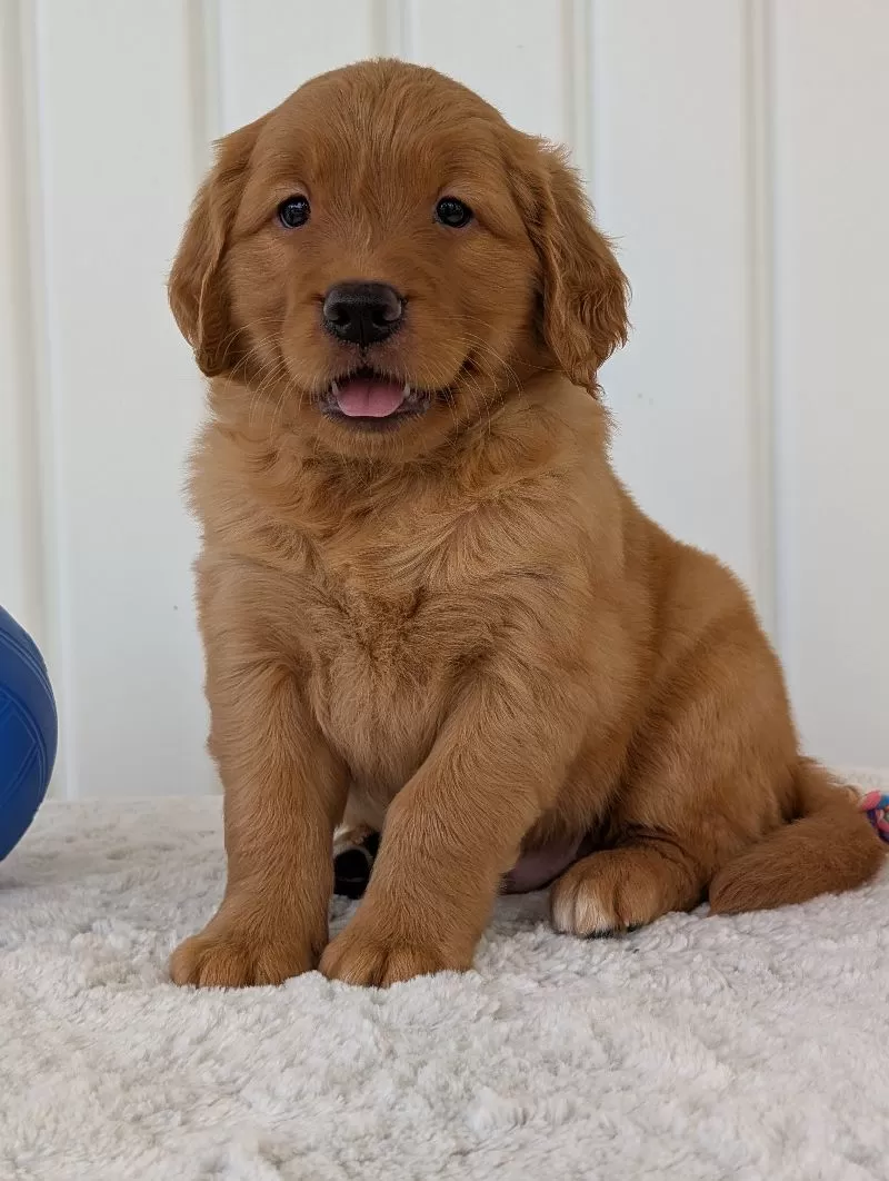 Parker