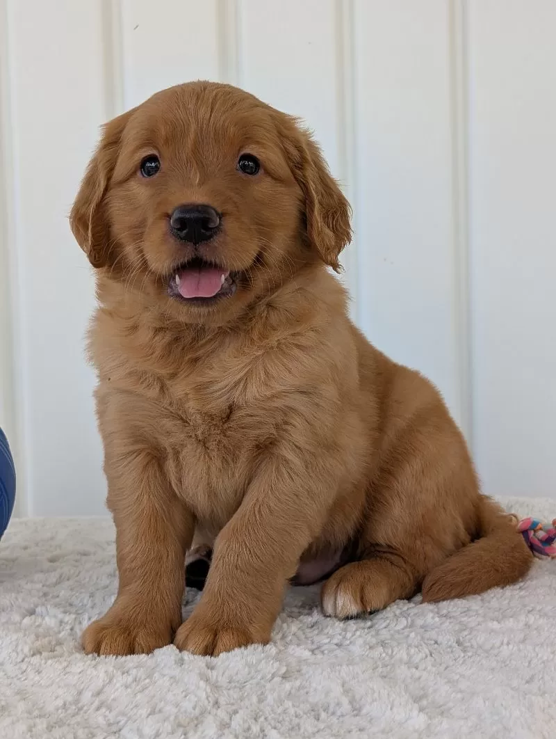 Parker