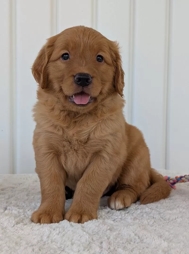 Parker
